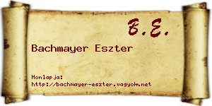 Bachmayer Eszter névjegykártya